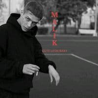 TikTok Account - malik304002