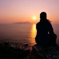 TikTok Account - solitariaparati6949