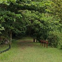 TikTok Account - nature.vibes6