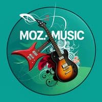 TikTok Account - mozmusic03