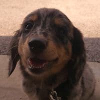 TikTok Account - north_asteroid