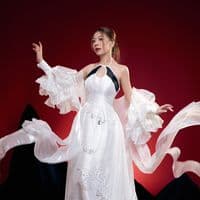 TikTok Account - dieuhoang211