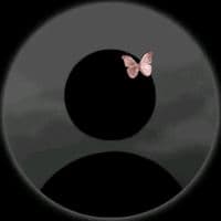 TikTok Account - saso20015