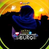 TikTok Account - bebe.al.denar