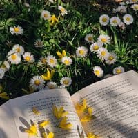 TikTok Account - kbooks