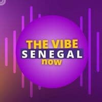 TikTok Account - thevibe.sn