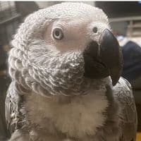 TikTok Account - msj2005_supportet