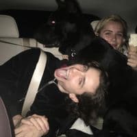 TikTok Account - spe4d.songs