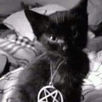 TikTok Account - lsdha17