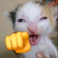 TikTok Account - zzyp000