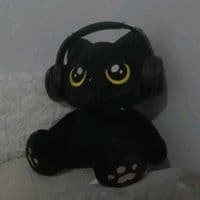 TikTok Account - laptoplyric