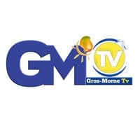 TikTok Account - grosmornetvpromo