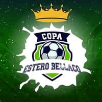 TikTok Account - copaesterobellaco