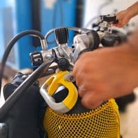 TikTok Account - hippone.sub.annaba