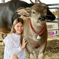 TikTok Account - irinfram_