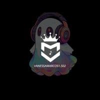 TikTok Account - vanessamarcos1.502