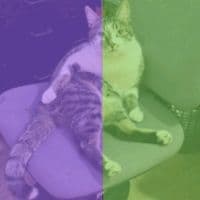 TikTok Account - jovan_663