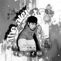 TikTok Account - the_alex_.official