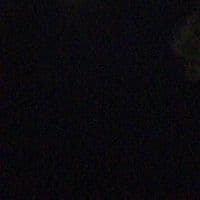 TikTok Account - canefrm309