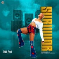 TikTok Account - frixie.fresh.music