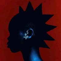 TikTok Account - clutch.vrose