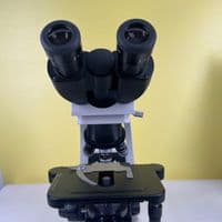 TikTok Account - tiny.world.lens