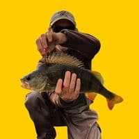 TikTok Account - rybadnia