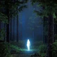 TikTok Account - sankxangel