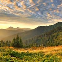 TikTok Account - zakarpattyaburzuy