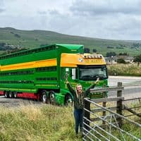 TikTok Account - beckygiles