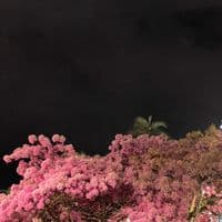 TikTok Account - map_575