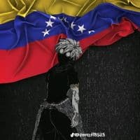 TikTok Account - yusbiel.sadoval.ff