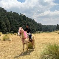 TikTok Account - agustinxoolk14