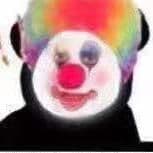 TikTok Account - kaixiang001