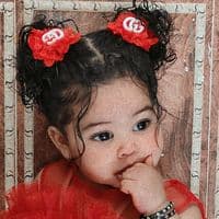 TikTok Creator - dyb87v4cmuc6