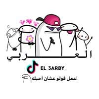 TikTok Account - el_3arby_