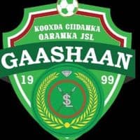 TikTok Account - fc_gaashaan