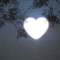 TikTok Account - spotify.nightcore