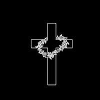 TikTok Account - magnusschlenner