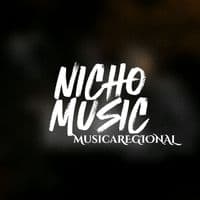 TikTok Account - nicho_music