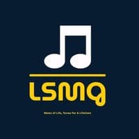 TikTok Account - lsmg_official