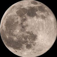 TikTok Account - dshbmay