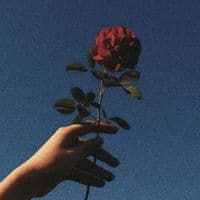 TikTok Account - tesouros.verbais