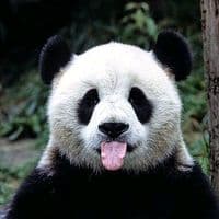 TikTok Account - yovani2.6