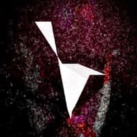 TikTok Account - var.rapa