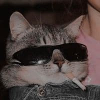 TikTok Account - thealexxx16