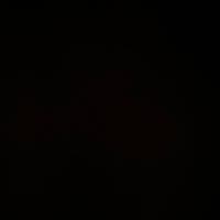 TikTok Account - lyricsaudiossss