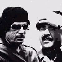 TikTok Account - axc_029