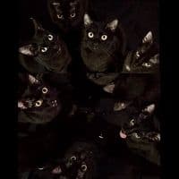 TikTok Account - familytieuca