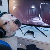 TikTok Account - duna_deko